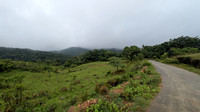 Lush route that leads to Malalli Falls from Bisle Ghat