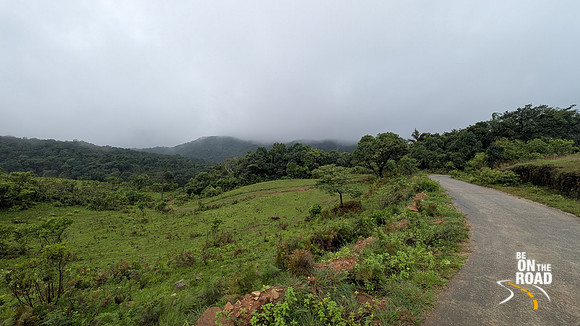 Lush route that leads to Malalli Falls from Bisle Ghat
