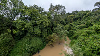 Lush monsoon scenes seen during a pit stop in Malnad, Karnataka