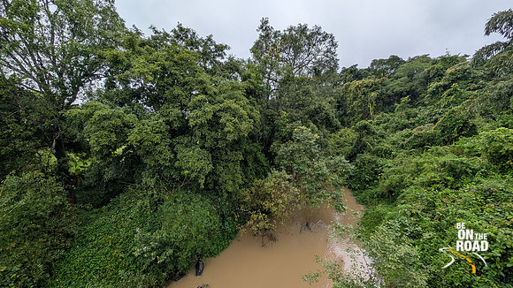 Lush monsoon scenes seen during a pit stop in Malnad, Karnataka
