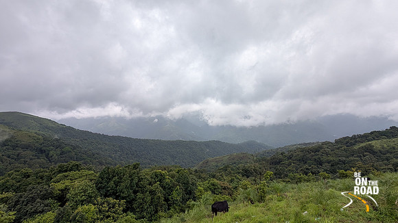 Kaginahare View Point, Malenadu, Karnataka