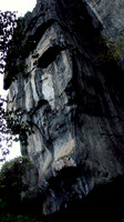 DSC00419
