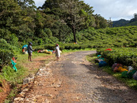 Tea estate workers take a break at Oothu estate