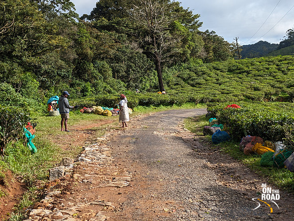 Tea estate workers take a break at Oothu estate