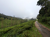 The road that connects Oothu to Kudrevetty