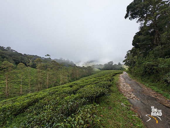 The road that connects Oothu to Kudrevetty