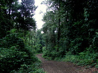 DSC00421