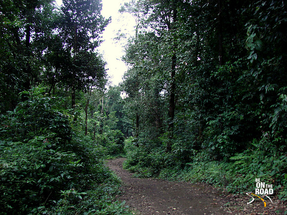 DSC00421