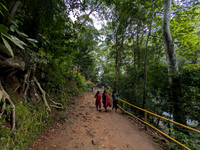 Uphill hike that leads you to Palaruvi Falls in Kerala