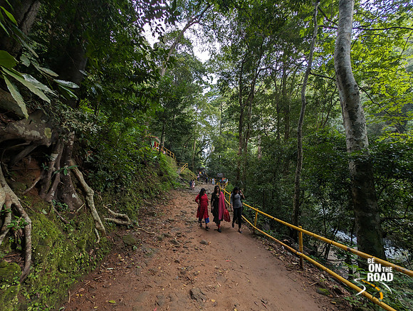 Uphill hike that leads you to Palaruvi Falls in Kerala