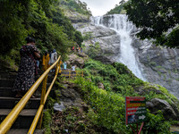 Palaruvi Falls - a fabulous place for a herbal bath amidst pristine nature
