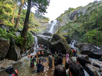 Herbal water of Palaruvi Falls - perfect for a waterfall holiday