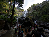 Palaruvi Falls tumbling down in many steps offering a variety of mini waterfalls to bathe under