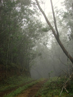 DSC03279