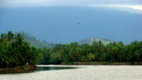 DSC00489