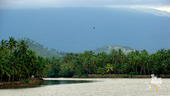 DSC00489