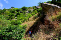 The thorny and bushy trekking path
