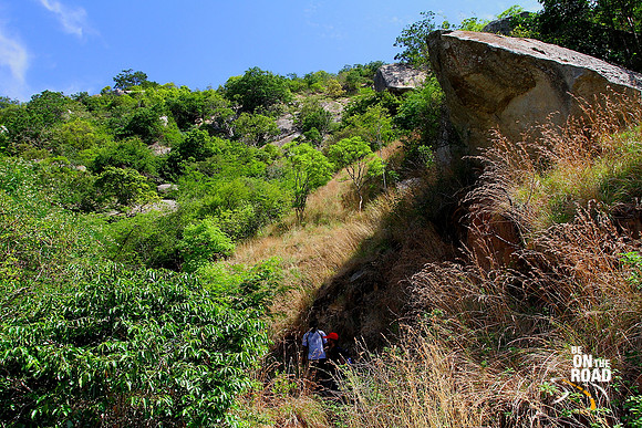The thorny and bushy trekking path