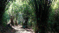 DSC00057