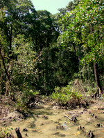 DSC00090