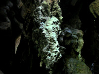 DSC00067