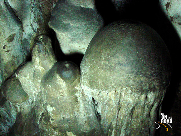 DSC00081