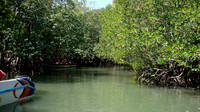 DSC00093