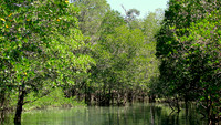 DSC00096
