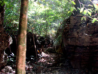 DSC00064
