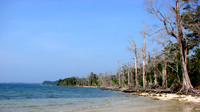 DSC00364
