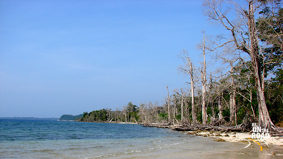 DSC00364