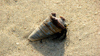 DSC00368
