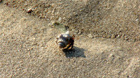 DSC00372