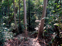 DSC00384