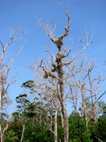 DSC00367