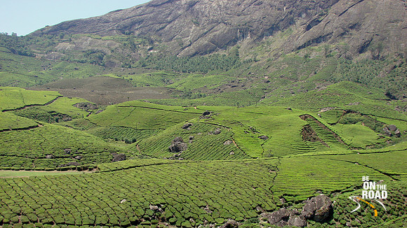 DSC01216