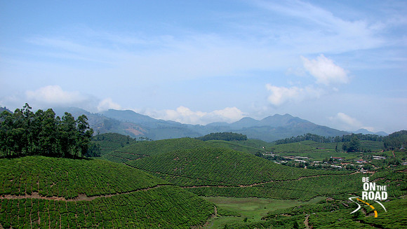 DSC01202