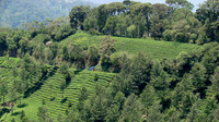 DSC01278