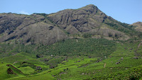 DSC01227