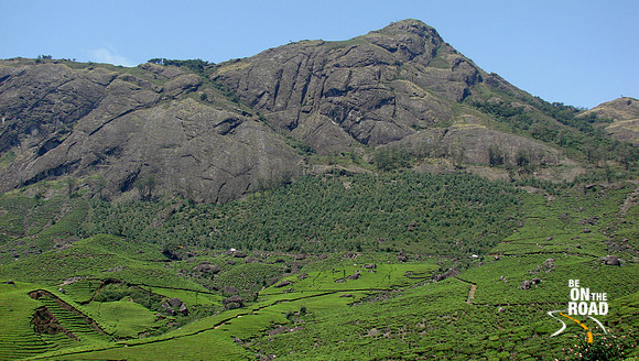 DSC01227