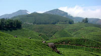 DSC01203
