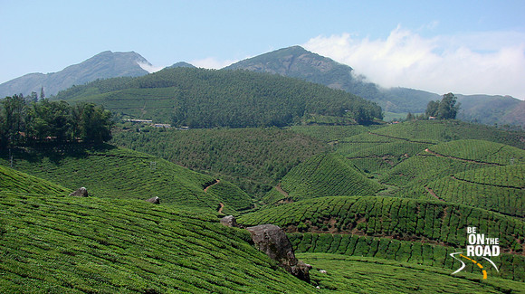 DSC01203