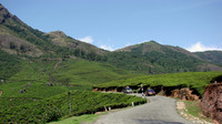 DSC01230