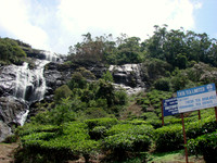 DSC01263