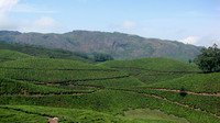 DSC01211