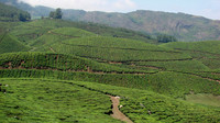 DSC01201