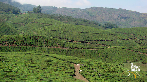 DSC01201