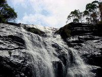 DSC01266