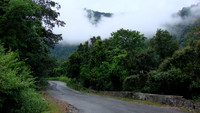 DSC00542