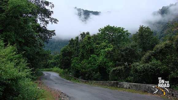 DSC00542
